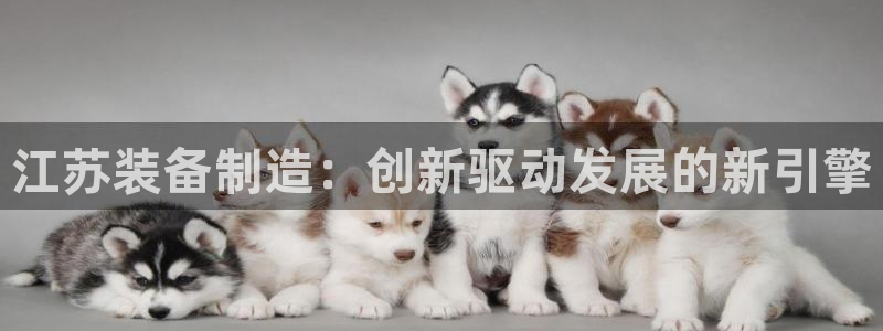 娱乐风暴合集