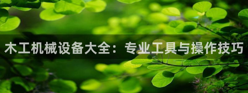风暴娱乐 平台首页
