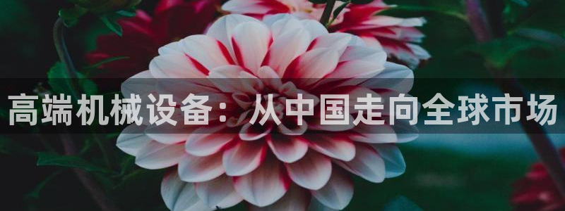风暴娱乐官网开户
