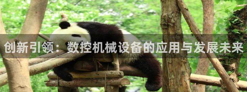 菲律宾风暴娱乐集团
