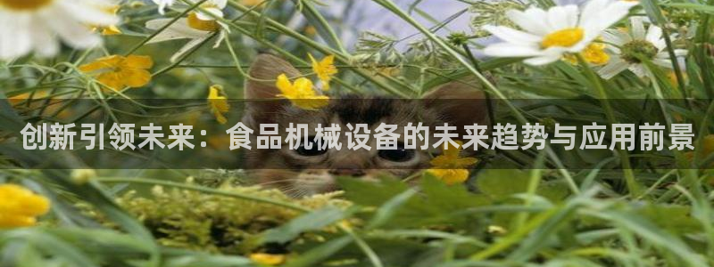 风暴娱乐拉菲8