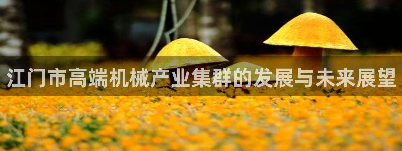 风暴娱乐拉菲8