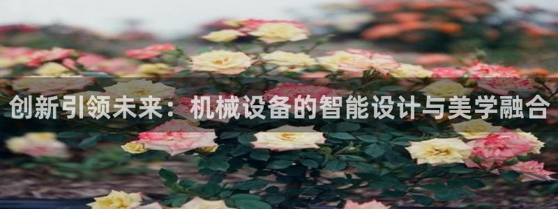 风暴娱乐左5指尖