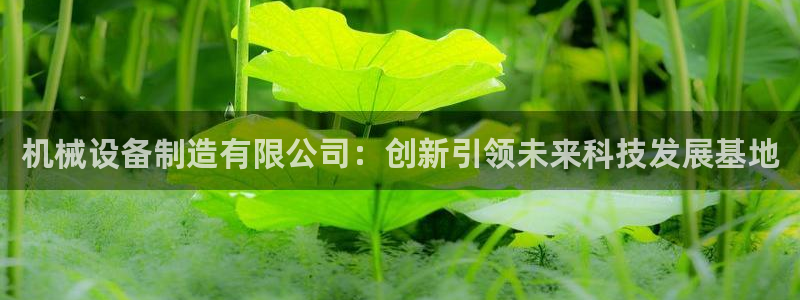 风暴娱乐下5指尖