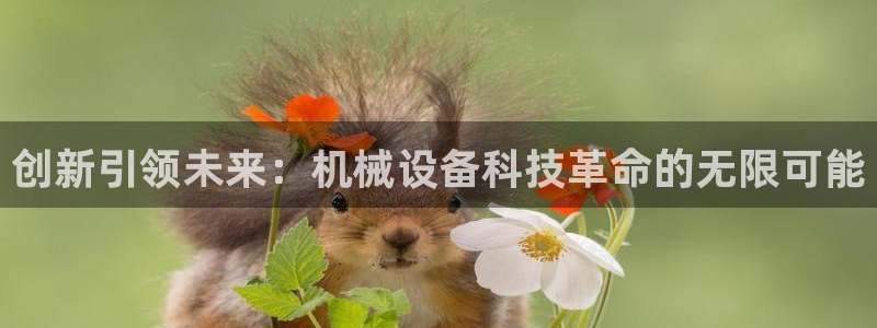 光风暴娱乐