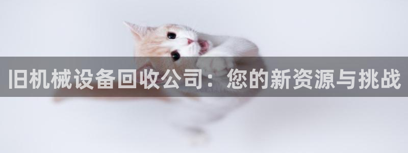 风暴娱乐主管是谁