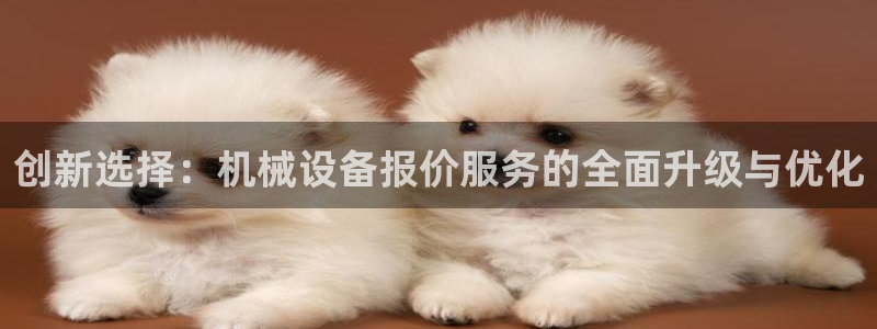 风暴娱乐字图片大全