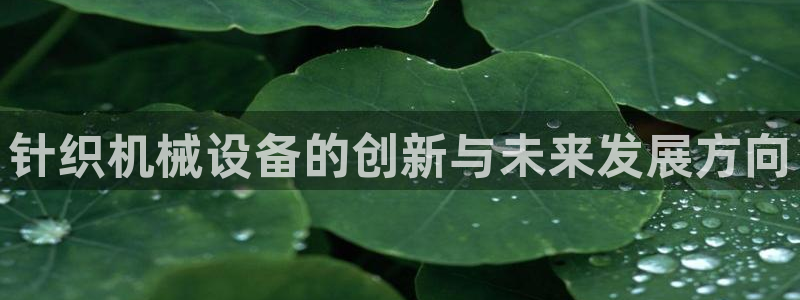 风暴娱乐拉菲8