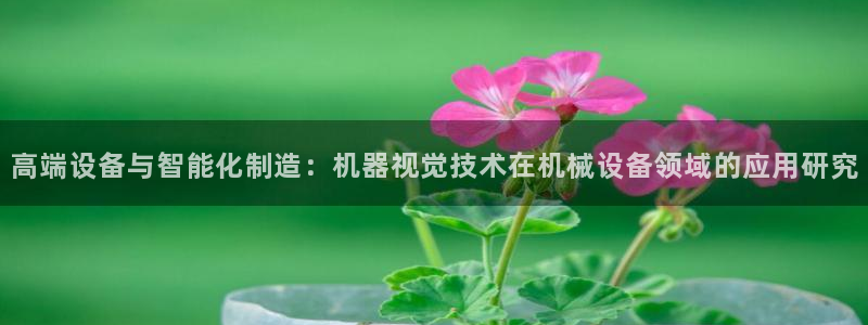 风暴娱乐老板