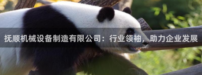 风暴娱乐344272