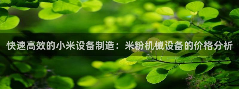 菲律宾风暴娱乐集团