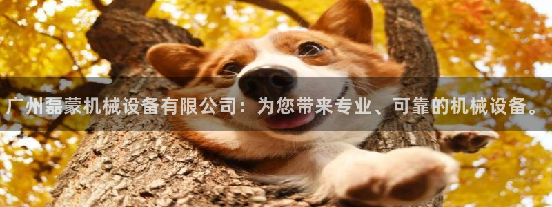 风暴娱乐线路