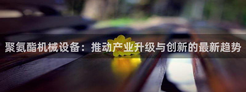 风暴娱乐