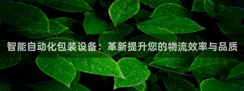 风暴娱乐代理登录