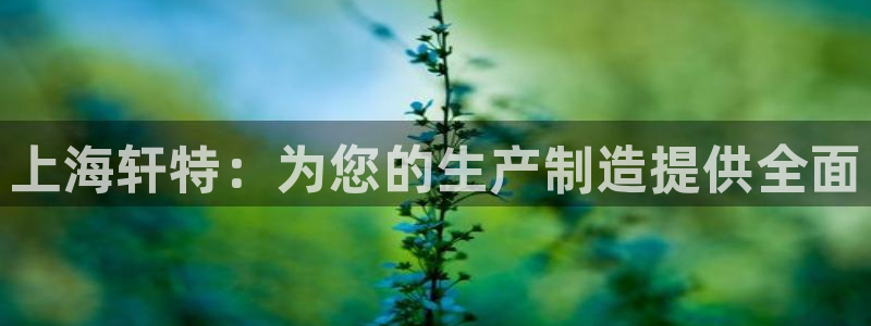 风暴娱乐官方网站