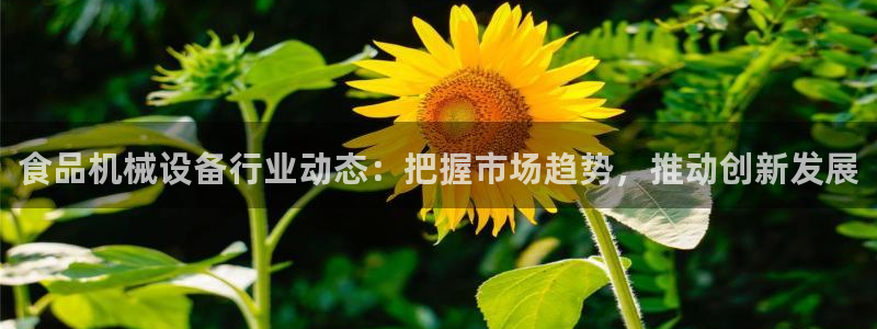 风暴娱乐求333OOf