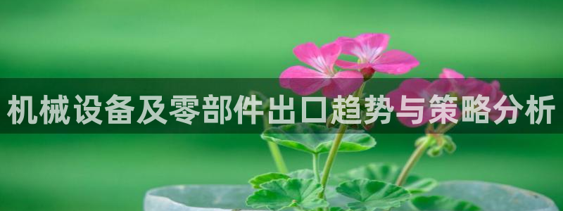 风暴娱乐有5指尖