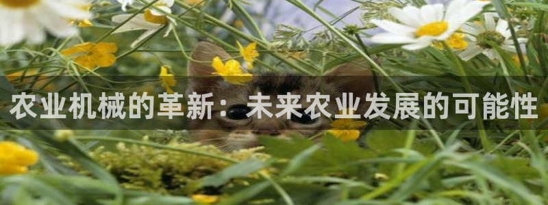 风暴娱乐乃六七五一38