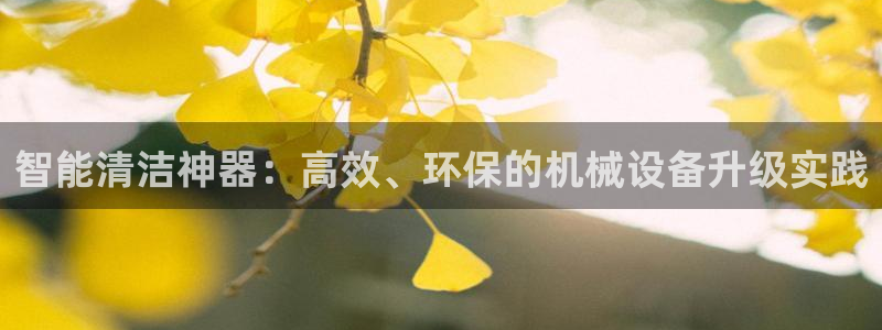 风暴娱乐自动挂