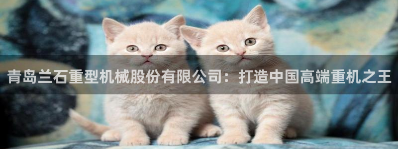 风暴娱乐下载