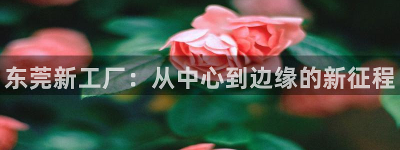 风暴平娱乐