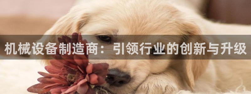 风暴娱乐首页