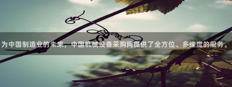 风暴娱乐下载地址