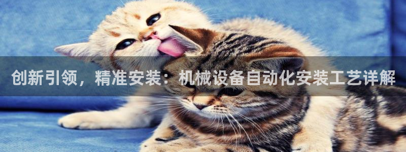 风暴娱乐