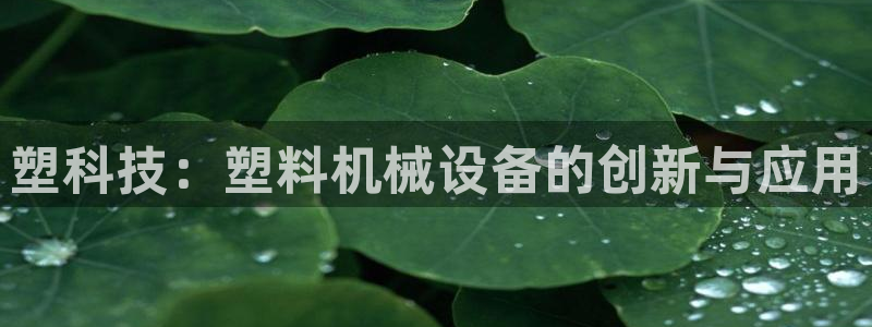 风暴娱乐自动挂