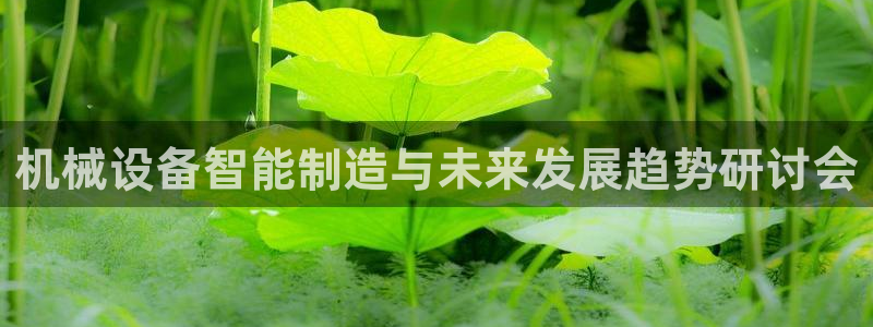 菲律宾风暴娱乐集团