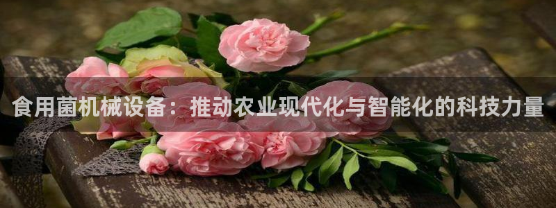 风暴娱乐自动挂