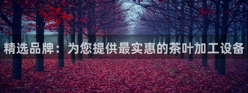 风暴娱乐 风暴注册平台