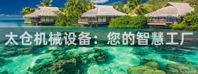 风暴娱乐字图片大全