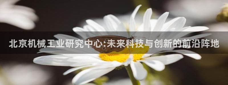 注册风暴娱乐