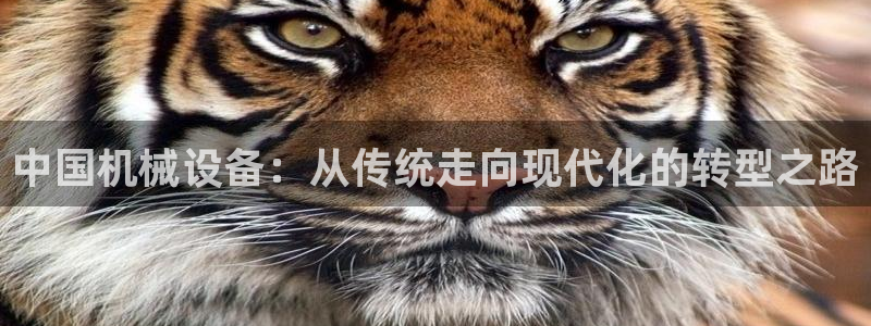 风暴新娱乐