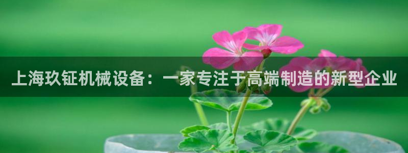 风暴娱乐主管是谁