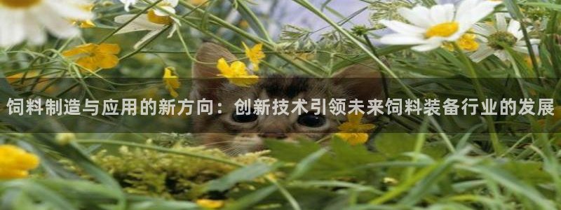 风暴娱乐记