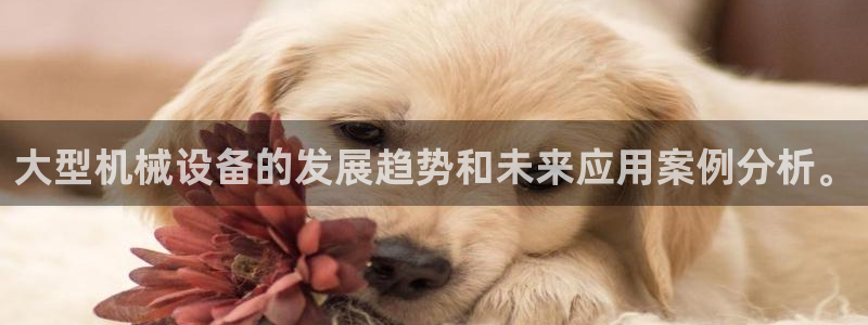 风暴娱乐银川