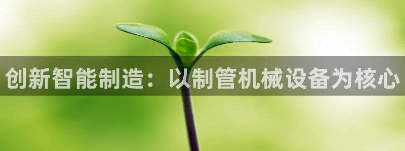 风暴娱乐主管是谁