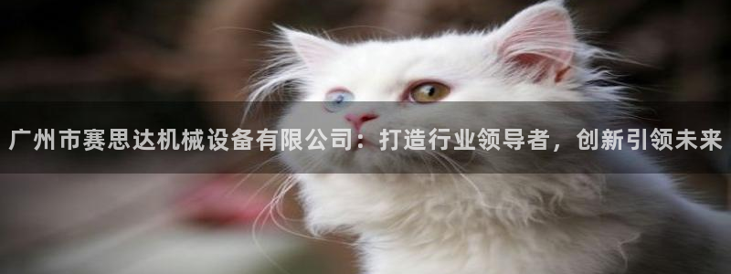 娱乐风暴2