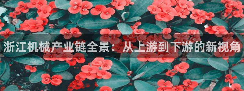 风暴娱乐求333OOc