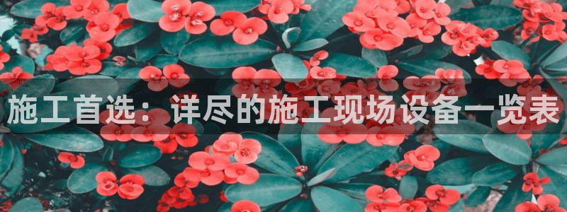风暴娱乐平台地址