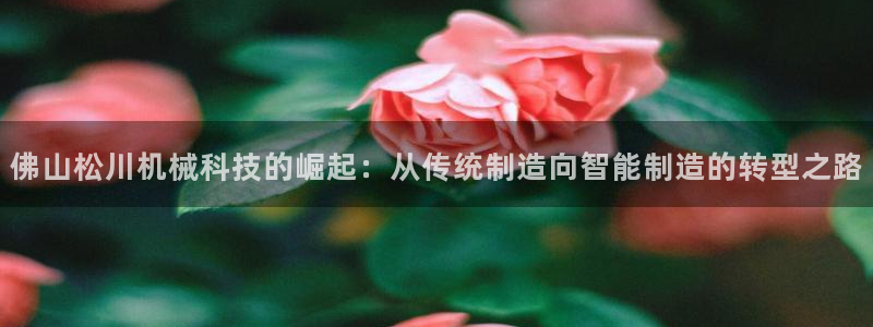 风暴大厅娱乐