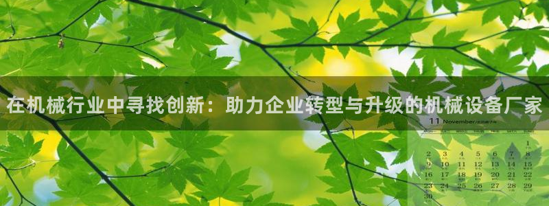 菲律宾风暴娱乐集团